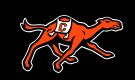 Campbell University logo