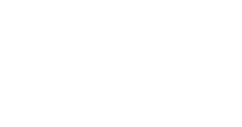 Lewis University logo