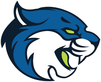 Bryant & Stratton College-Virginia Beach logo